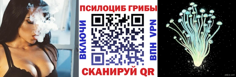 Псилоцибиновые грибы мицелий  кракен ONION  Фёдоровский 