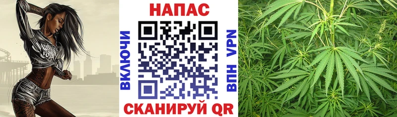 как найти Фёдоровский Бошки Шишки планчик